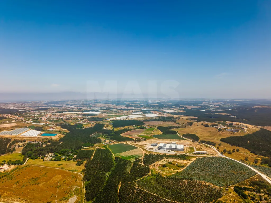 A 4.5-hectare plot of land near an industrial area in the municipality of Torres Vedras