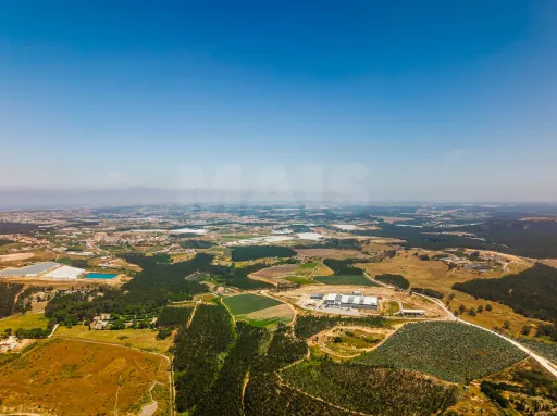 Terreno com quatro hectares e meio perto de indústria, no concelho de Torres Vedras