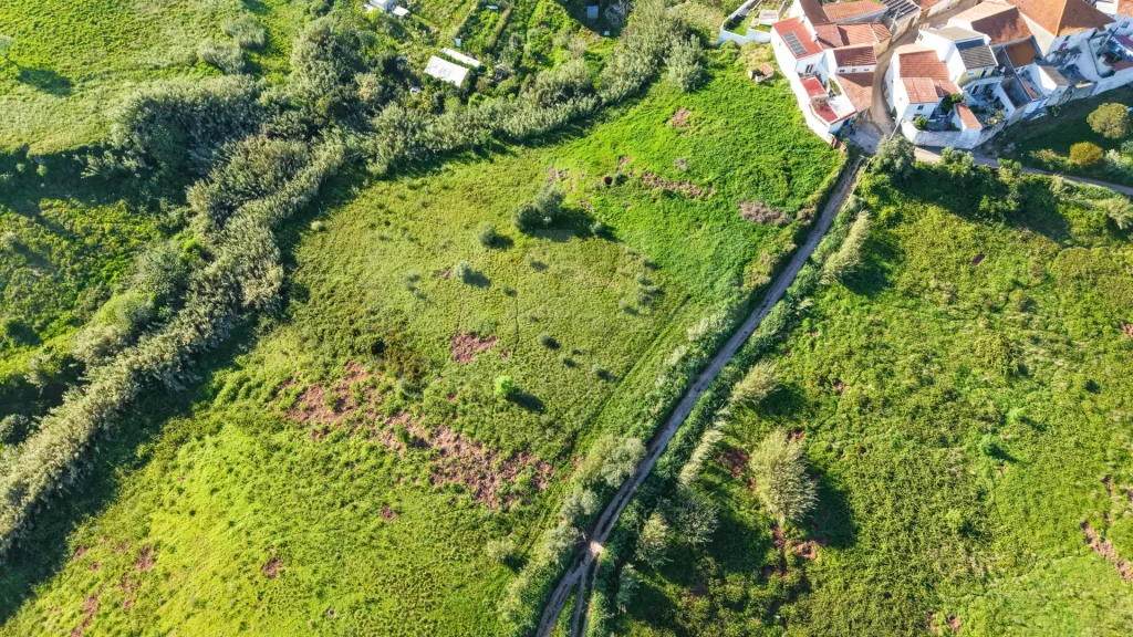 Terreno para Construção com Projeto aprovado - 10 minutos de Torres Vedras