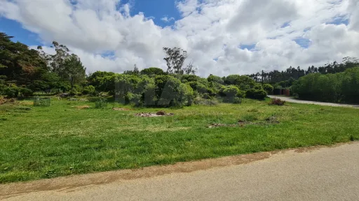 Terreno com 1 520m²  em Cezaredas – Oportunidade Única!