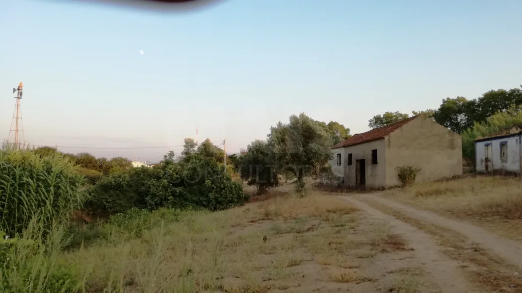 Quinta com moradia para recuperar na zona de Abrantes