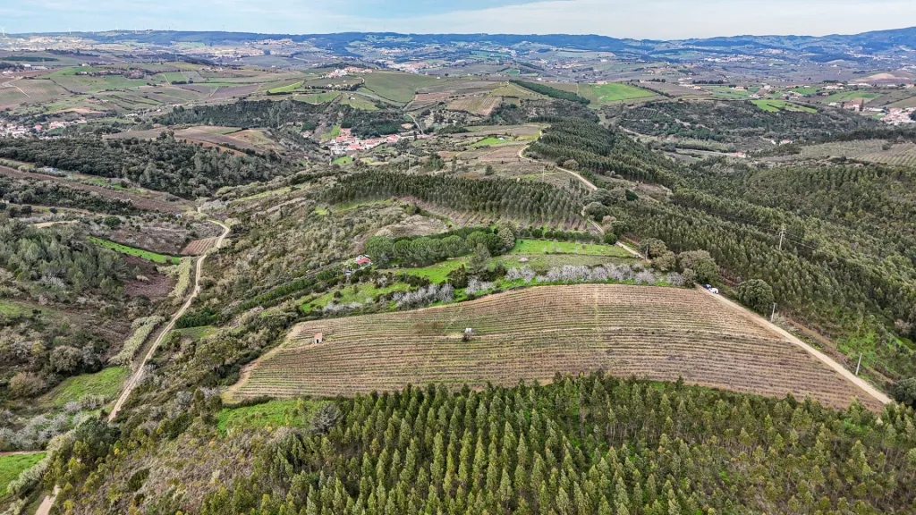 Terreno rustico na Pipa