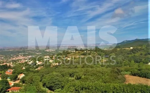 Building plot with 11640 M2 in Colares, Sintra