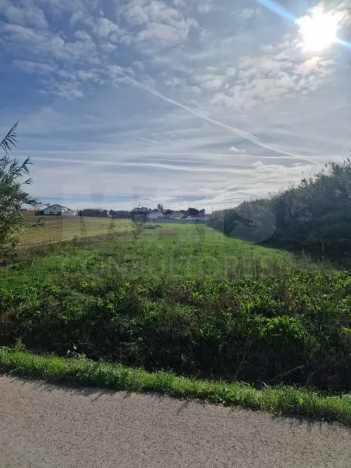 Land - Casais Brancos