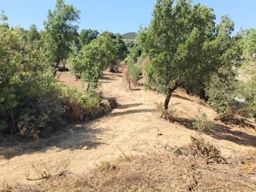 Terreno 2600 m2 para contruir em Côja