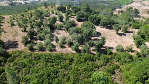 Rustic Land 12.400 m² - Authentic Natural Viewpoint over Ribatejo and Serra de Montejunto