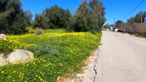 Lote de  Terreno Rustico