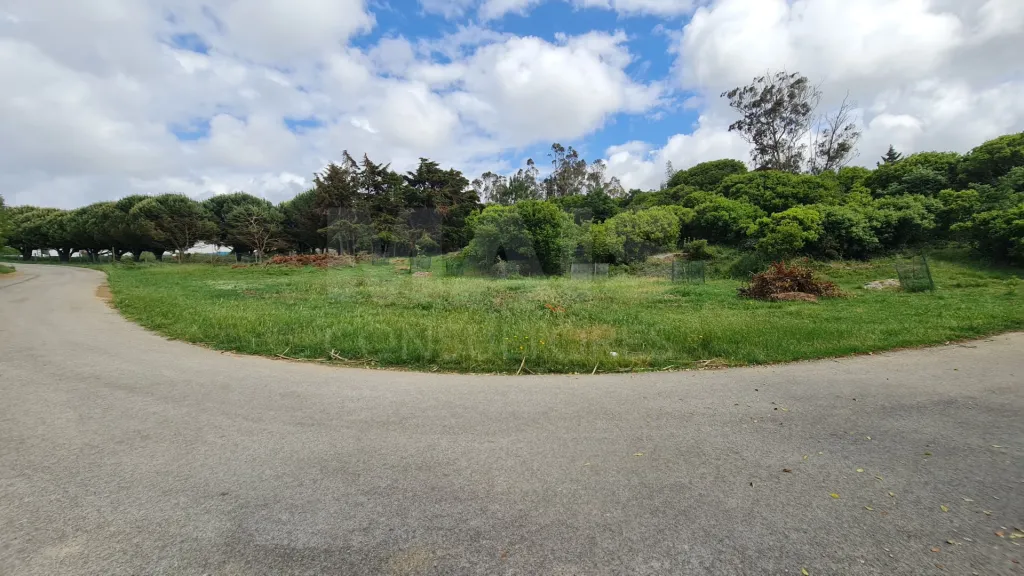 Terreno com 1 520m²  em Cezaredas – Oportunidade Única!