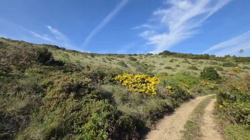 Rustic land with open views