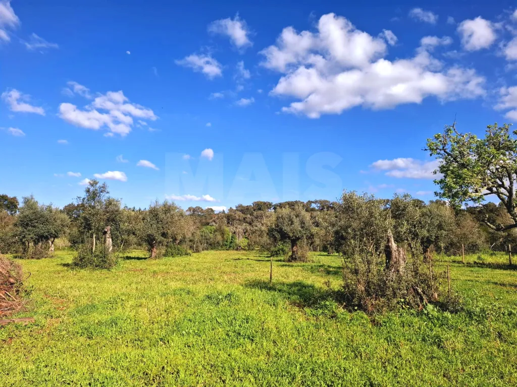 Quinta T4 com 9 mil m2 em Santiago do Cacém, Cercal do Alentejo