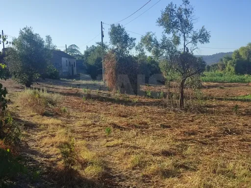 Quinta com moradia para recuperar na zona de Abrantes