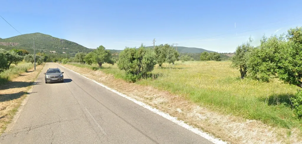 Terreno Rustico CHÃ Alcanena