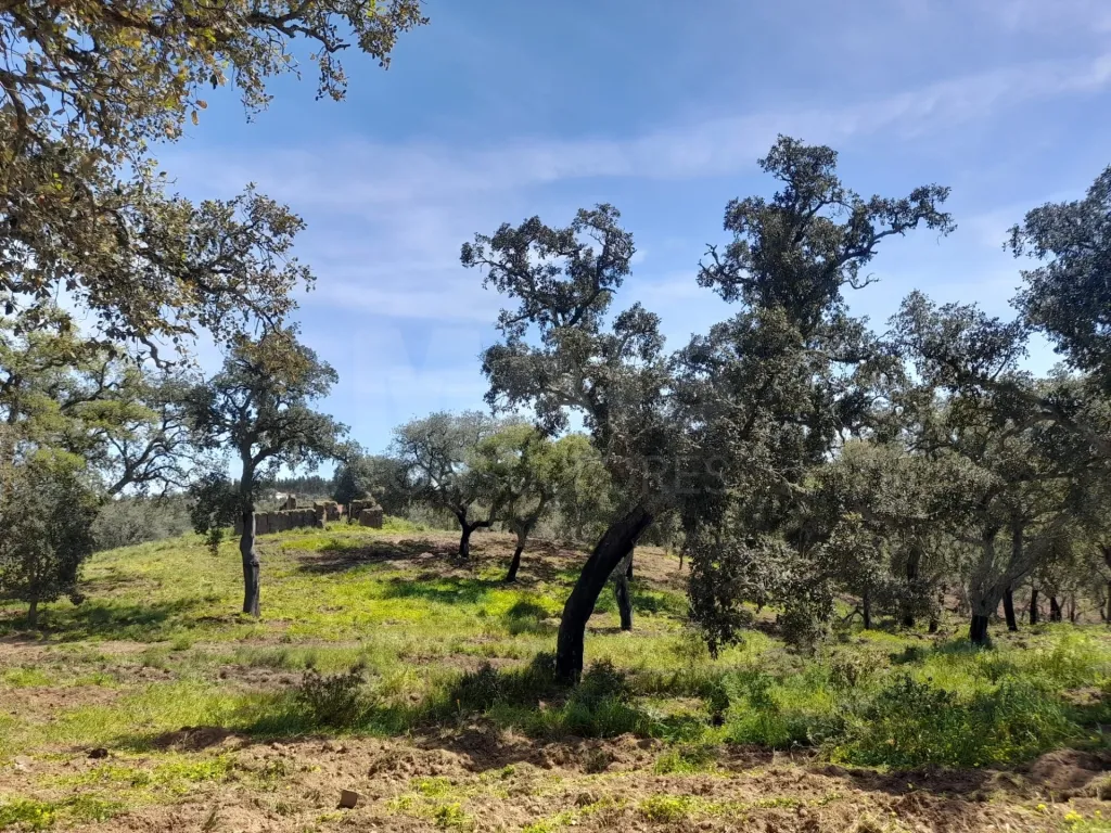 Terreno Urbano com 8.4 H em Melides