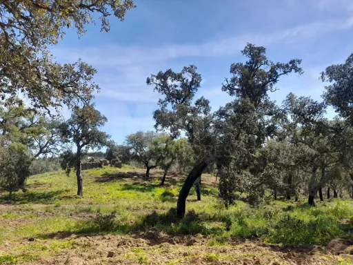 Terreno Urbano com 8.4 H em Melides