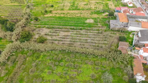 Terreno no centro da Usseira