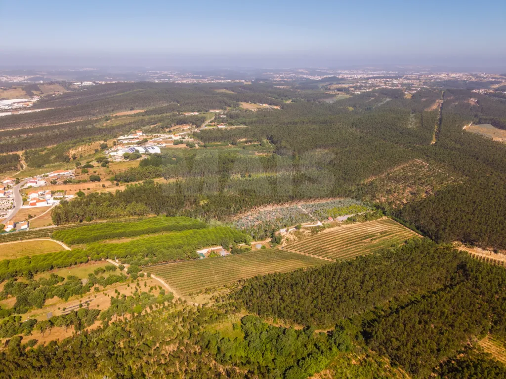 Terreno Agrícola na Fanadia | 16.100 m² de Potencial e Infraestruturas Preparadas