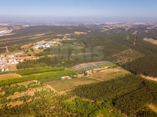 Terreno Agrícola na Fanadia | 16.100 m² de Potencial e Infraestruturas Preparadas