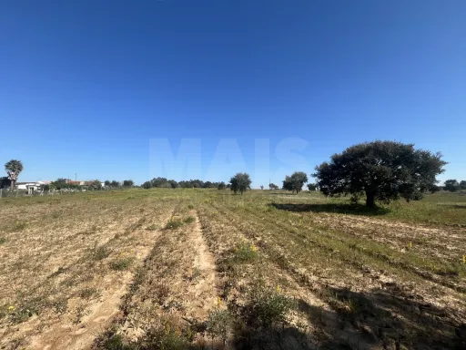 Terreno 12000 m2 em Foros da Charneca