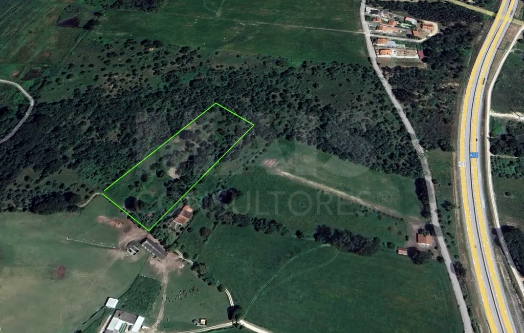 Terreno com Ruina SAO PEDRO DE TOMAR