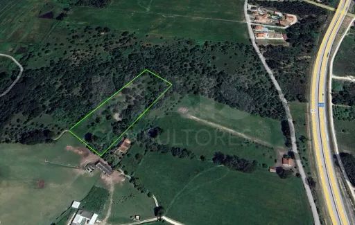 Terreno com Ruina SAO PEDRO DE TOMAR