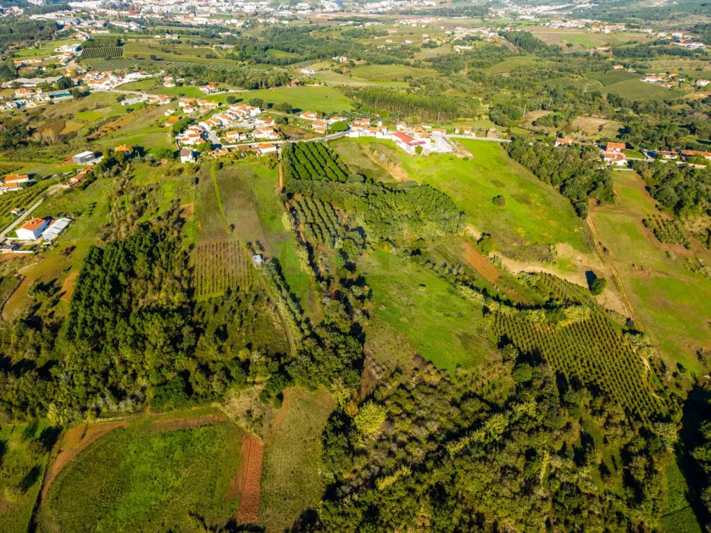 Terreno Amplo com PIP Aprovado – Ideal para Moradia Contemporânea