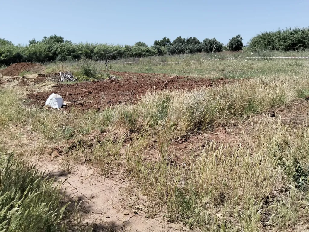 Lote de terreno rústico plano