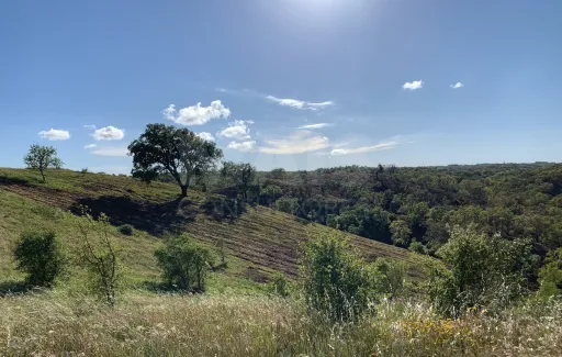 Herdade  com 40,85 hectares em São Bartolomeu da Serra, Santiago do Cacém