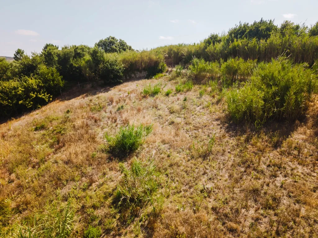 Terreno com Projeto Aprovado para Empreendimento Turístico na Lourinhã