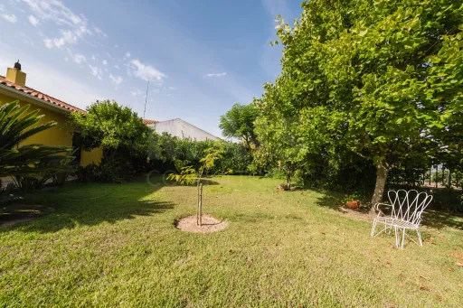 Propriedade única, a apenas 2 km de Alcobaça, com mais de 30.000 m² de terreno