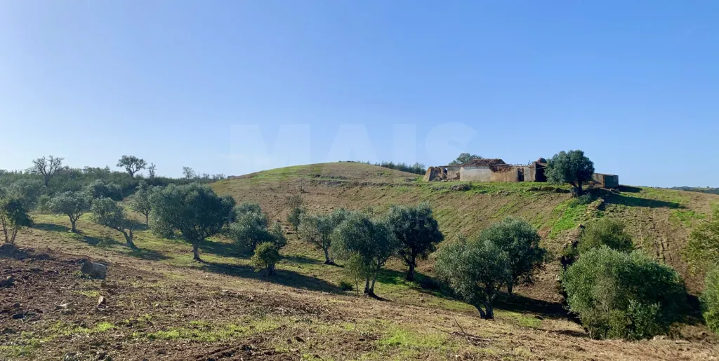 Herdade com 52,45 hectares em São Bartolomeu da Serra, Santiago do Cacém