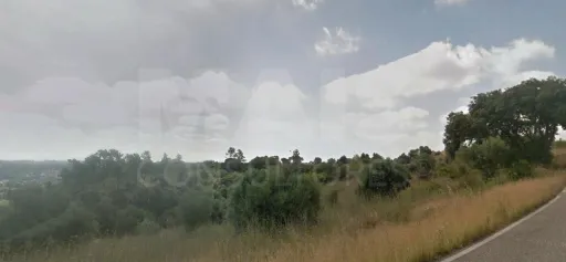 Terreno Rústico arborizado zona de POUSOS