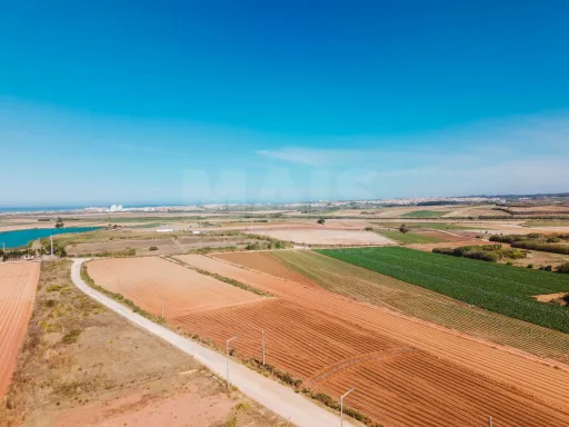 Excelente lote com projeto aprovado para moradia T3 com garagem e piscina