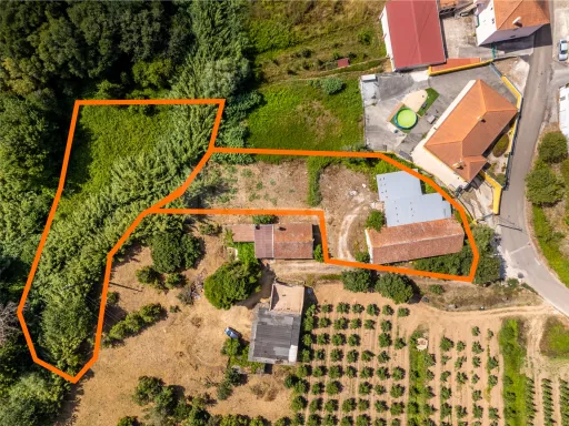 Reabilitação de Adega com Projeto Aprovado para Moradia T4 (*Possibilidade de Entrega Chave na Mão)