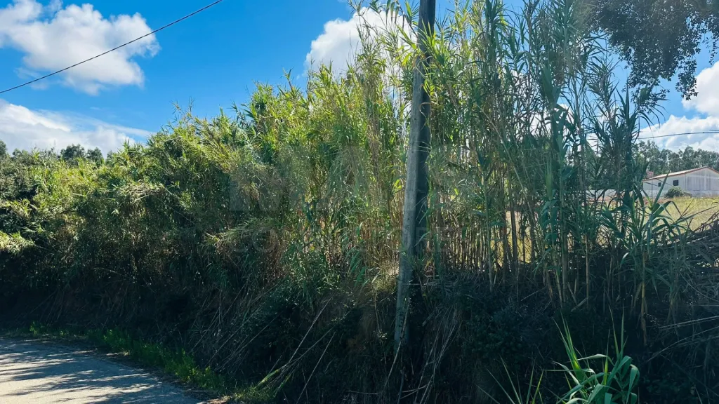Terreno com 6.042 m² | Potencial de Construção | Santa Bárbara, Lourinhã