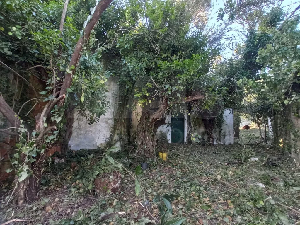 Terreno Misto com Ruina em TORRES NOVAS