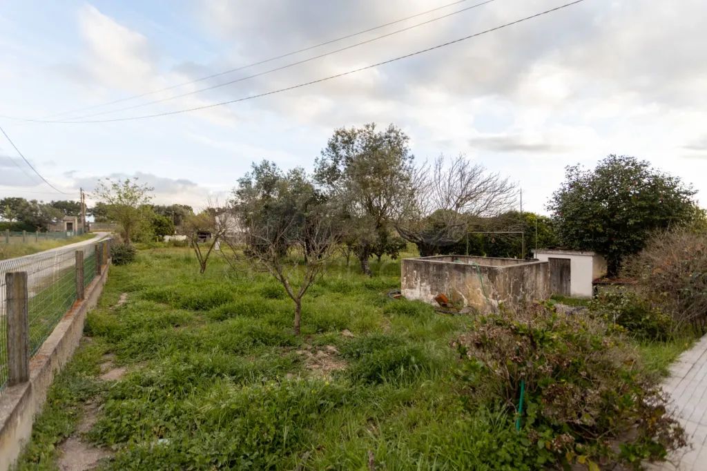 Moradia Térrea V3 com terreno urbano de 3780m2 no Alentejo