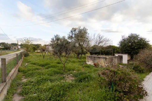 Moradia Térrea V3 com terreno urbano de 3780m2 no Alentejo