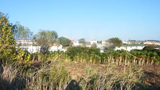 Terreno Urbano para Construção | Excelente Potencial Construtivo