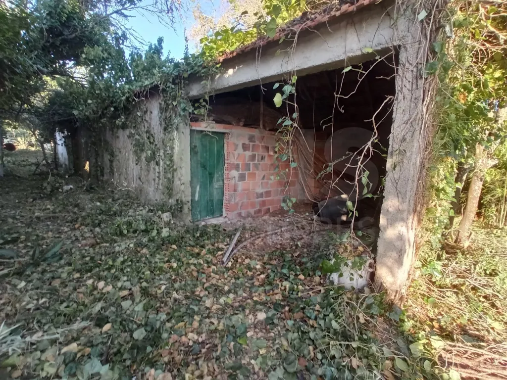 Terreno Misto com Ruina em TORRES NOVAS