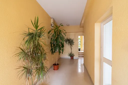 3 Bedrooms + 1 with Box in Santo Antônio dos Cavaleiros