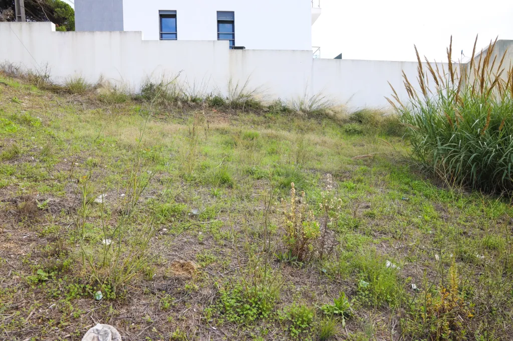 Lote Urbano na Apelação para Moradia.