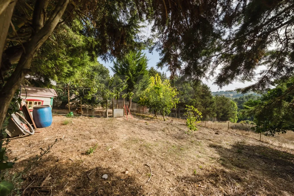 Propriedade única, a apenas 2 km de Alcobaça, com mais de 30.000 m² de terreno