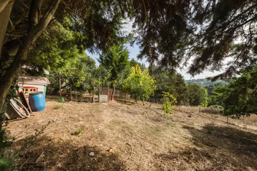 Propriedade única, a apenas 2 km de Alcobaça, com mais de 30.000 m² de terreno