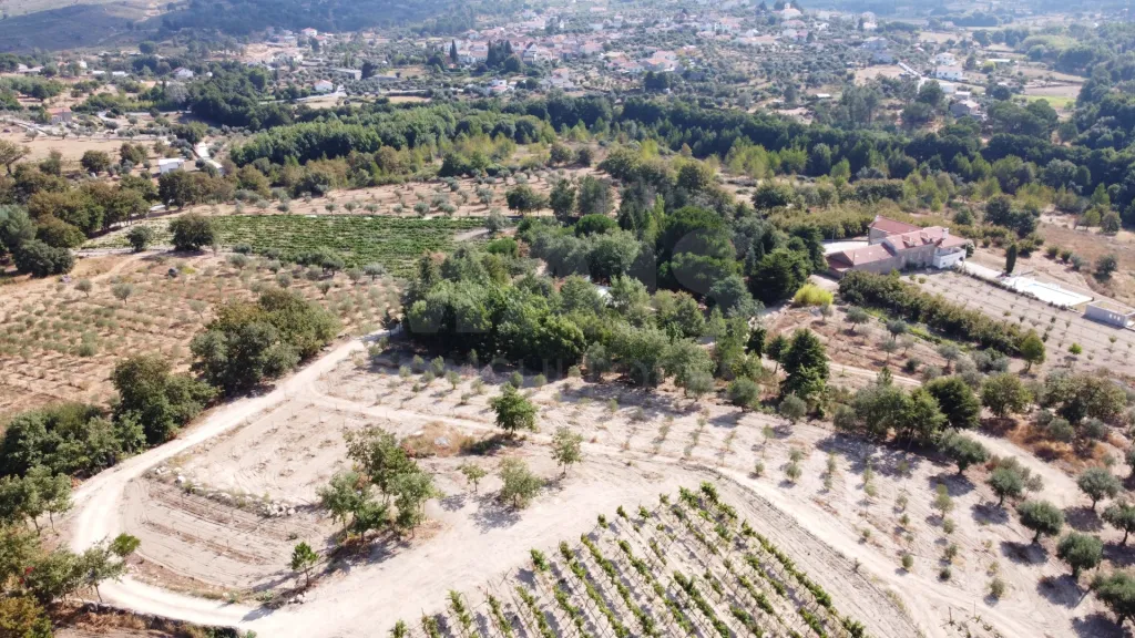 Herdade / Quinta com 25–27 ha, vinha em produção, olival e piscina – Serra da Estrela, Gouveia