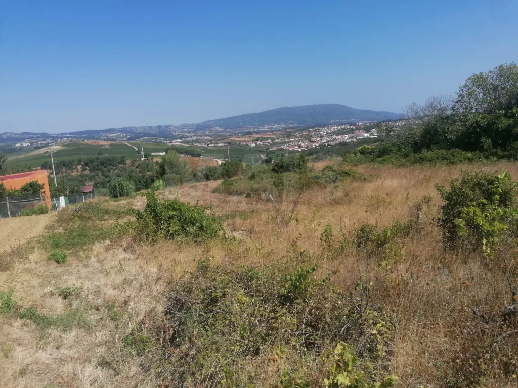 Building land in Alenquer