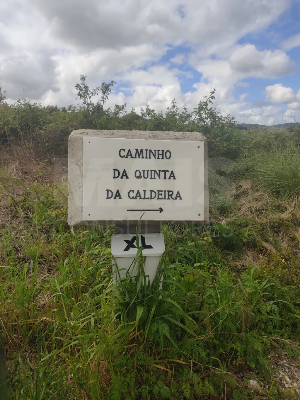 Terreno com 10.000m2 com 2 poços de água e casa com 28 m2, de apoio agrícola