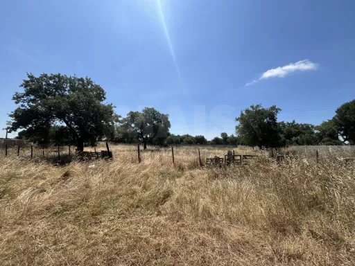 Terreno nos Arados, Samora Correia