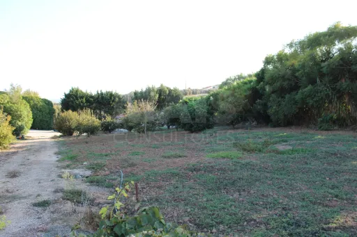 Plot with approved project for a villa ready to be built.