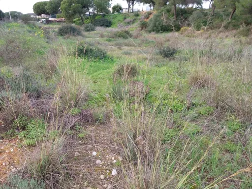 Lote de terreno Rustico com bom acesso e eletricidade
