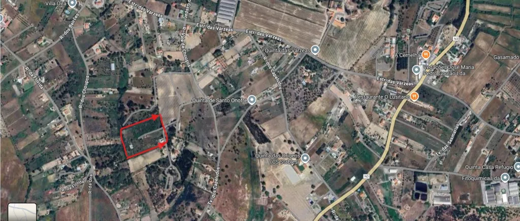 Terreno Rústico no Cartaxo com 10080m2 - Excelente investimento!